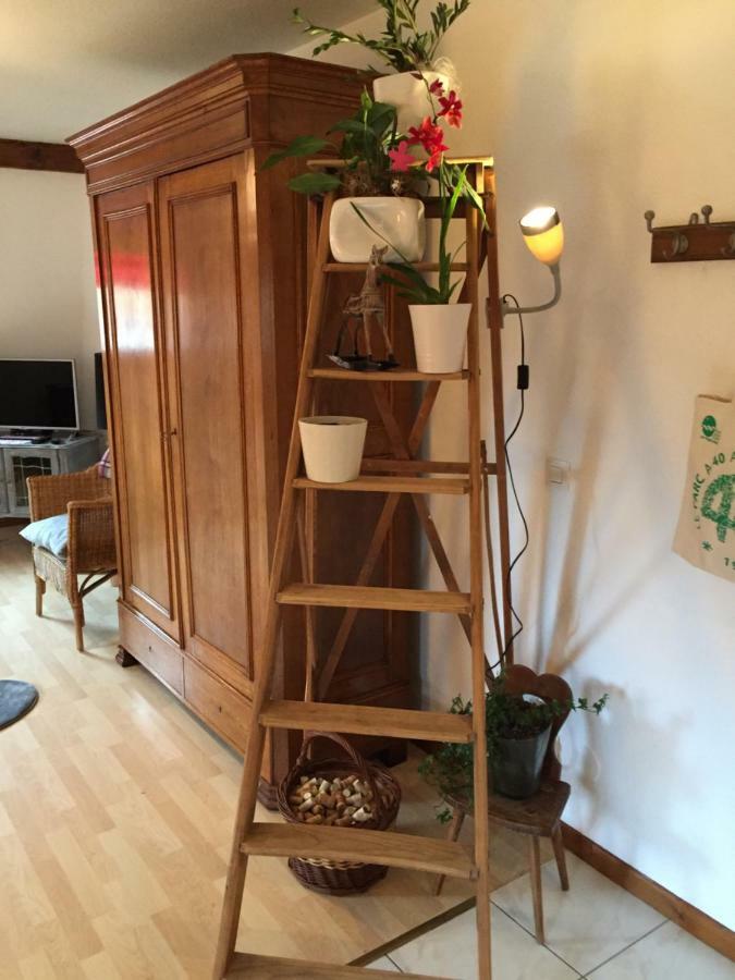 Les Appartements D'Estelle La Petite-Pierre Eksteriør bilde