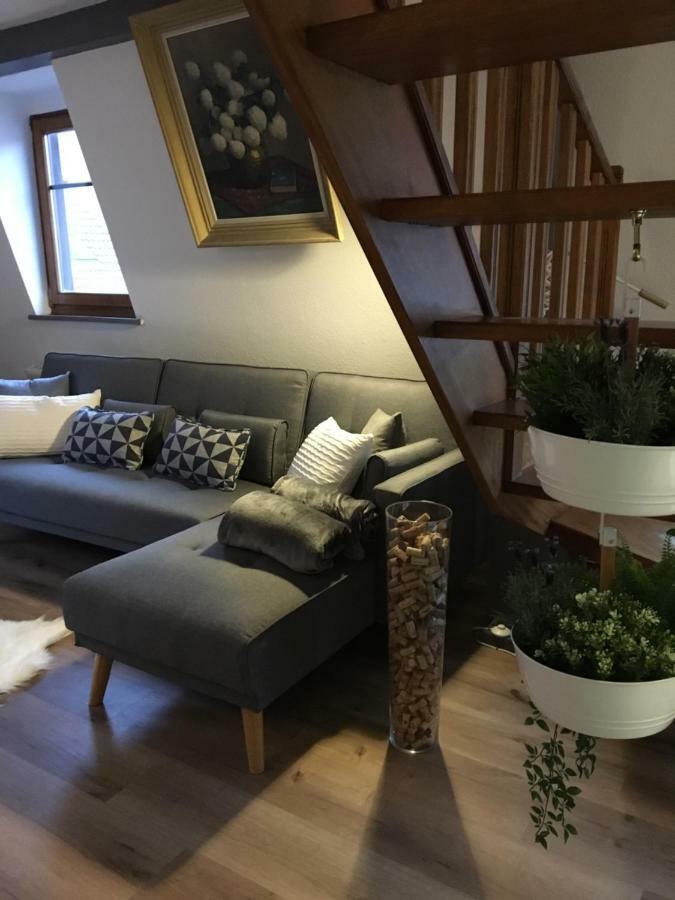 Les Appartements D'Estelle La Petite-Pierre Eksteriør bilde